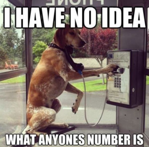 Captions That Will Make You Laugh. Part 3