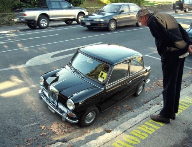 Morning Picdump