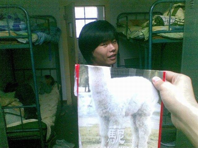 Daily Picdump [WEEKEND EDITION]