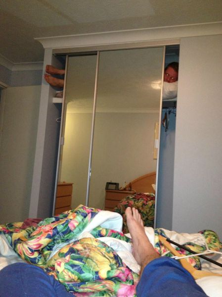 Daily Picdump
