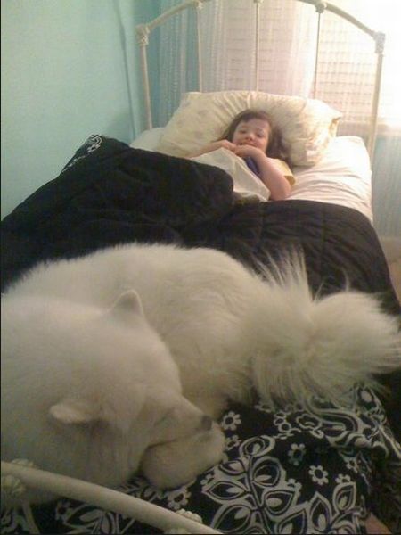Daily Picdump