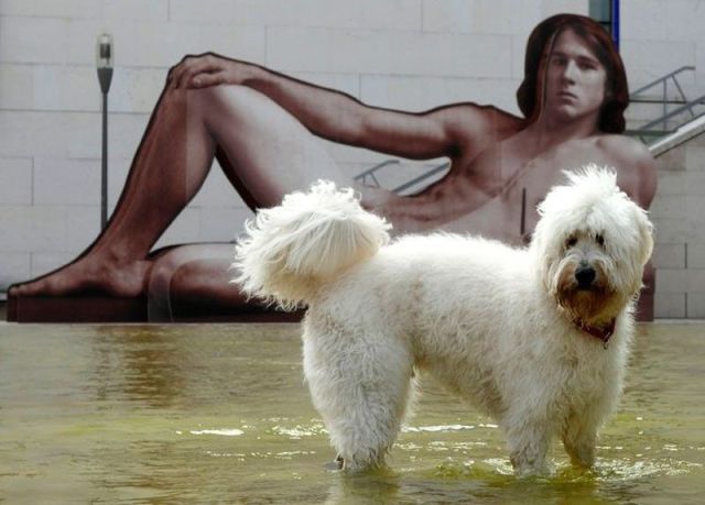 Daily Picdump