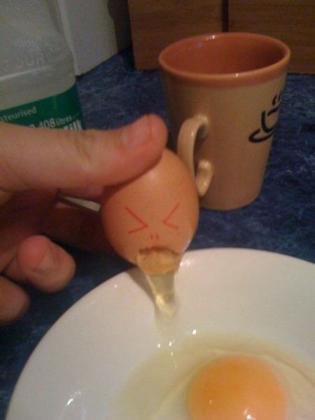 Morning Picdump