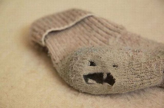 Morning Picdump