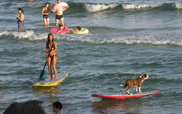 Morning Picdump
