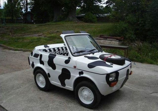 Morning Picdump