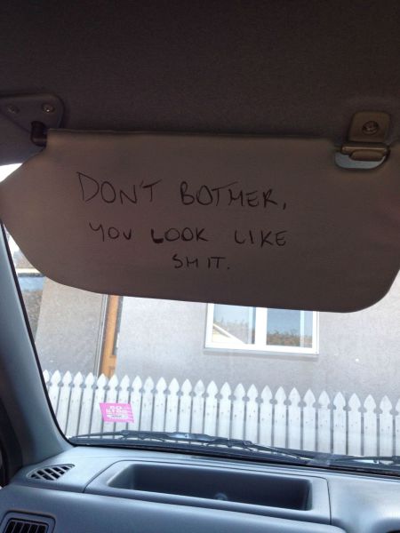 Daily Picdump