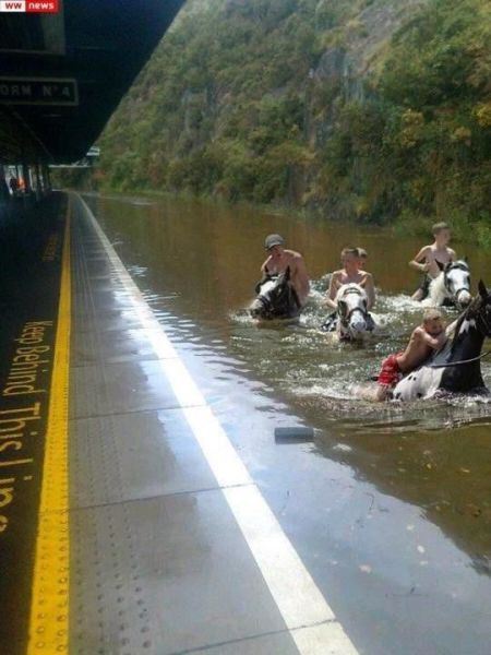 Daily Picdump