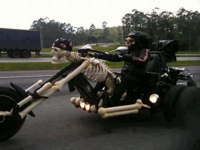 Daily Picdump