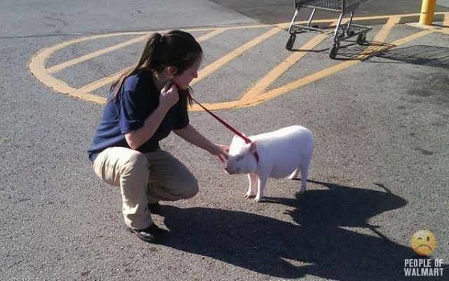What You Can See in Walmart. Part 18