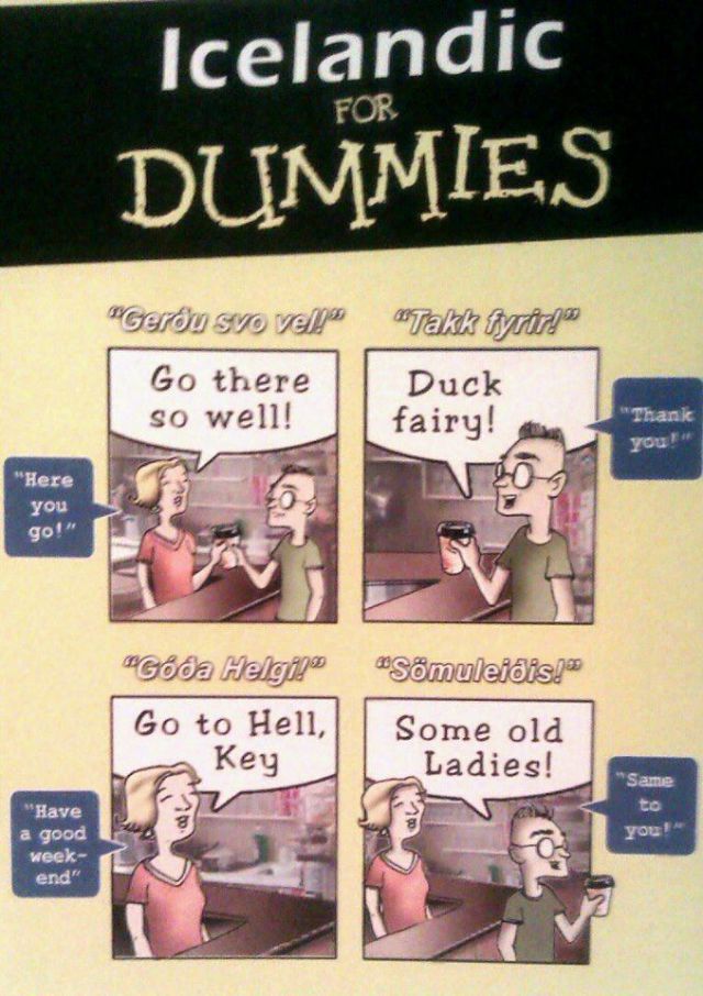 Morning Picdump