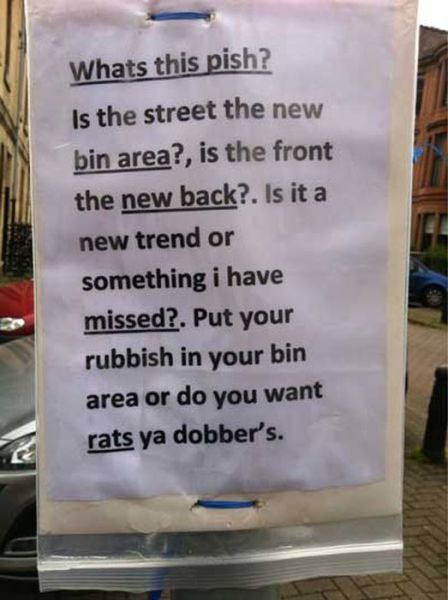 Daily Picdump