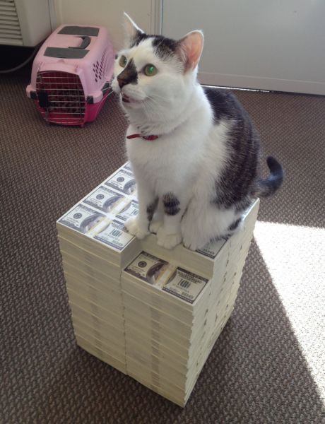 Daily Picdump