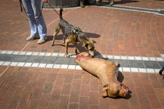 A Look Behind-the-scenes of “The Walking Dead”