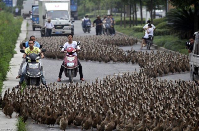 Daily Picdump
