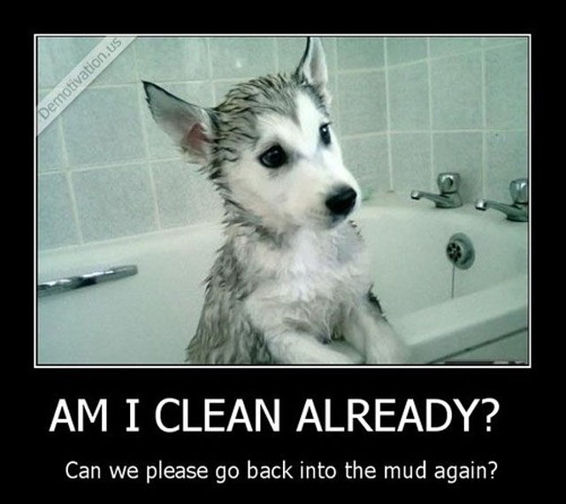 Demotivators Picdump