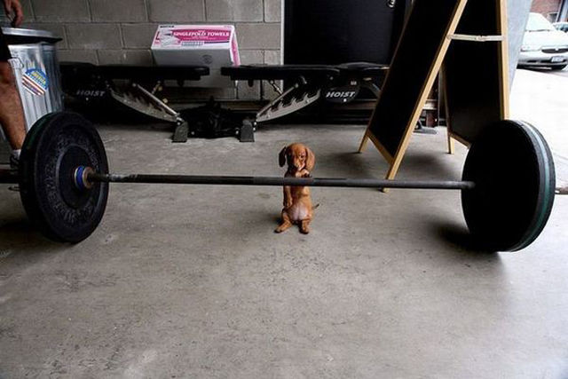 Hilarious Gym Moments Caught on Camera