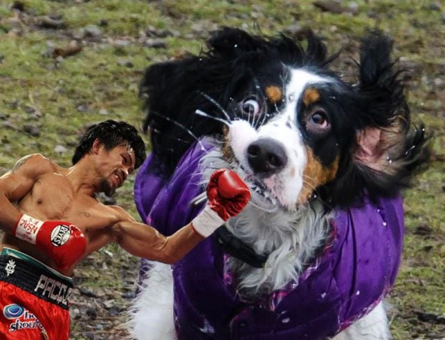 Daily Picdump