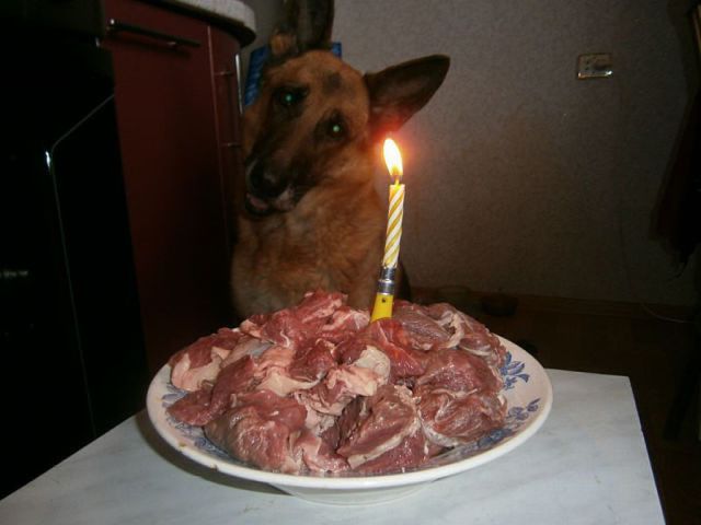 Daily Picdump