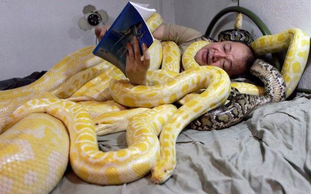 Daily Picdump