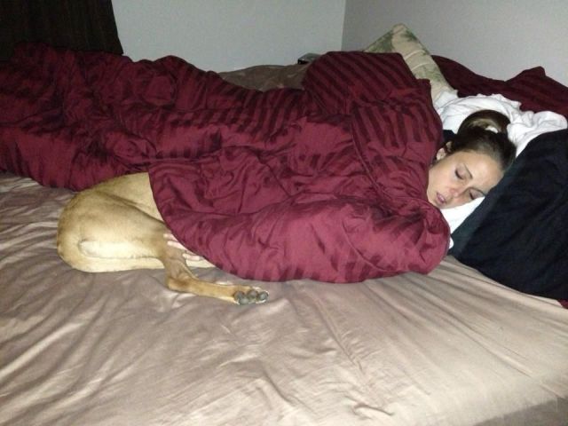 Daily Picdump