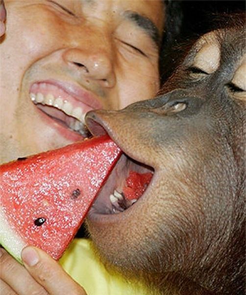 Daily Picdump