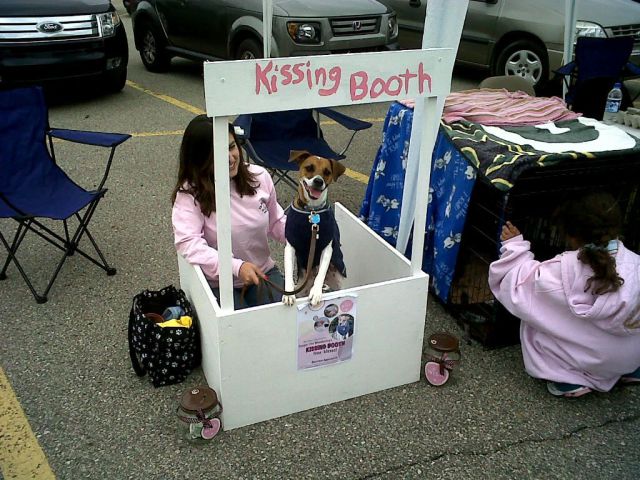 Daily Picdump