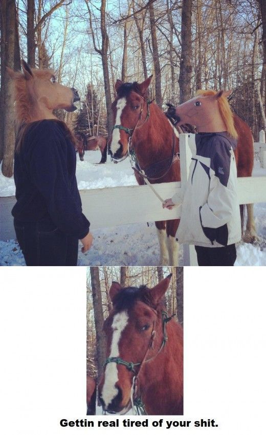 Daily Picdump