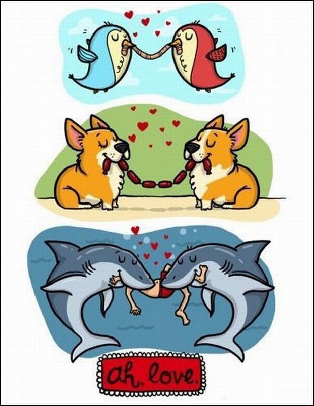 Daily Picdump
