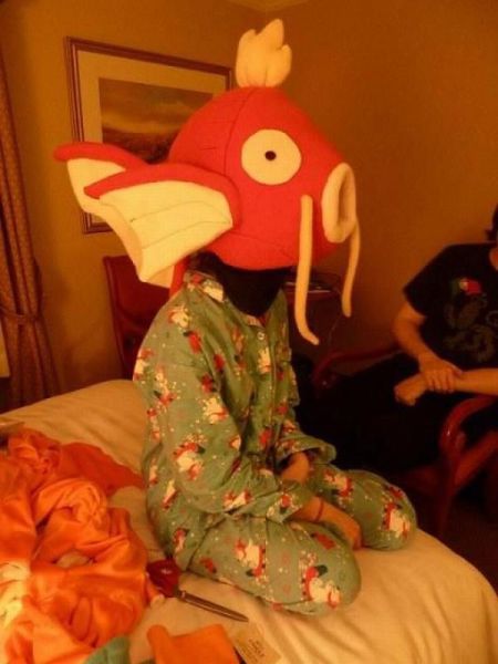 Daily Picdump