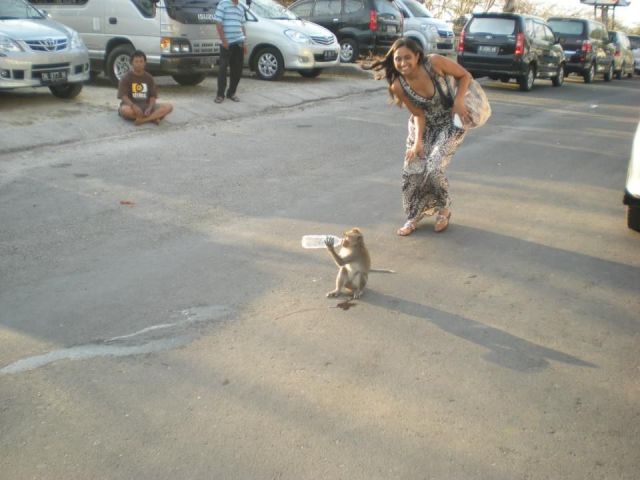 Daily Picdump