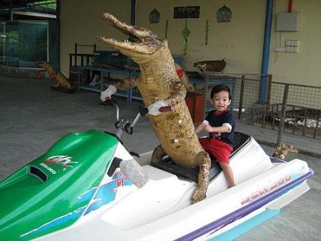 Morning Picdump