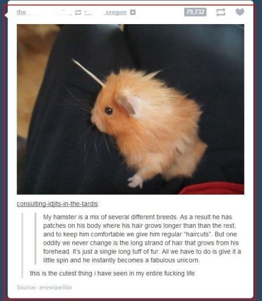 Morning Picdump