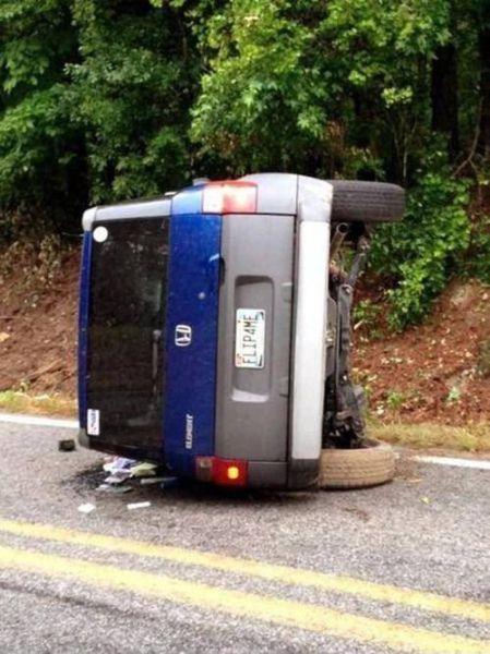 Morning Picdump