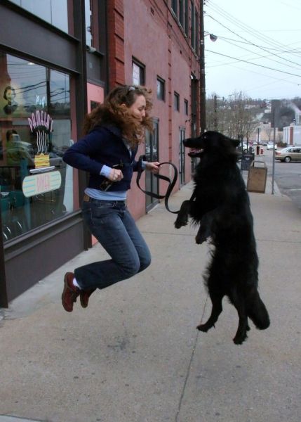 Daily Picdump
