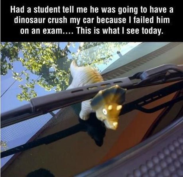 Daily Picdump