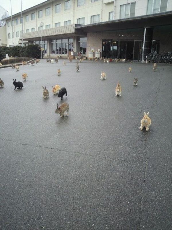 Daily Picdump