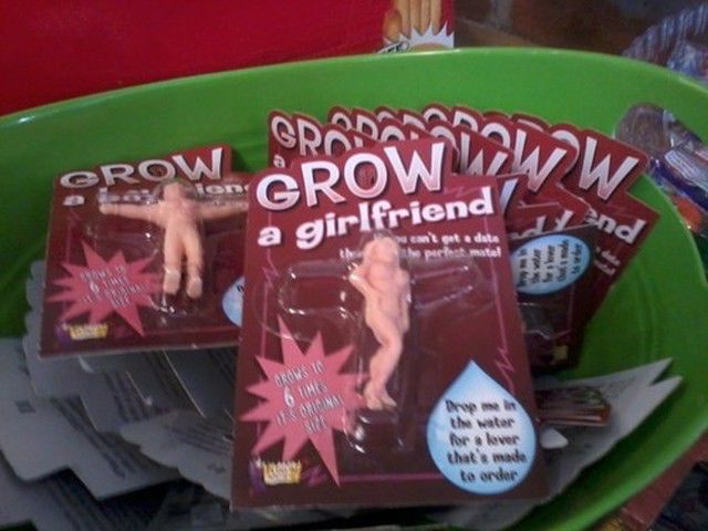 Morning Picdump