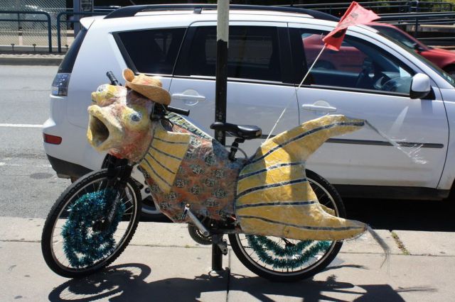 Morning Picdump