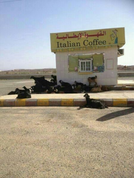 Morning Picdump