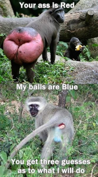 Morning Picdump