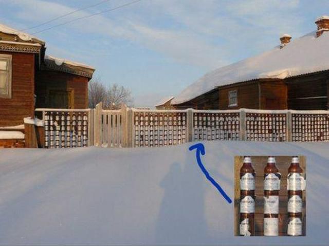 Morning Picdump