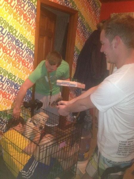 Get Drunk Then Get Pranked