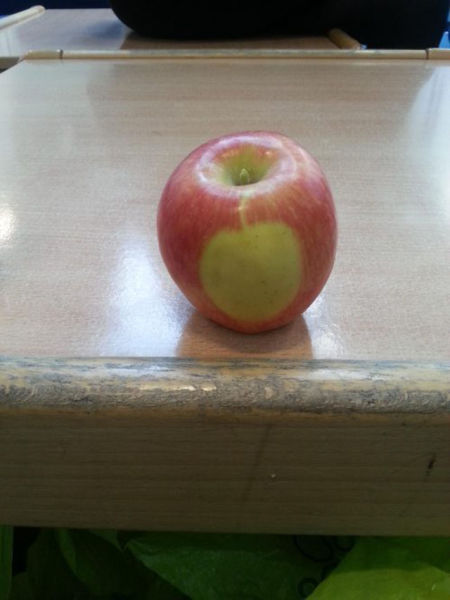 You Probably Missed It. Part 2