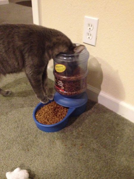 Daily Picdump [WEEKEND EDITION]
