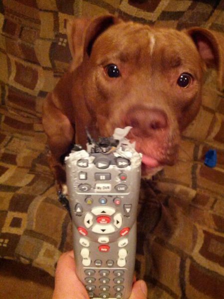 Daily Picdump [WEEKEND EDITION]