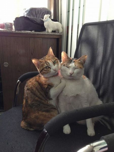 Daily Picdump [WEEKEND EDITION]