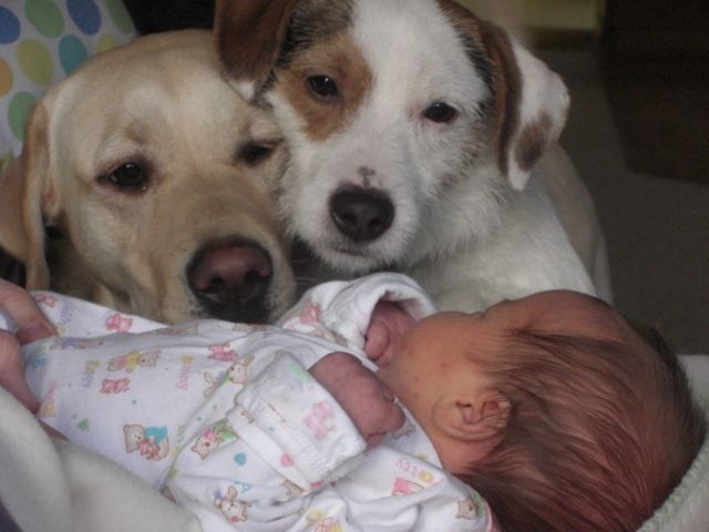 Daily Picdump