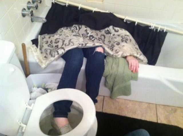 Daily Picdump
