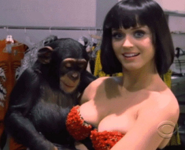 Kinky GIFS of Katy Perry’s Boobs